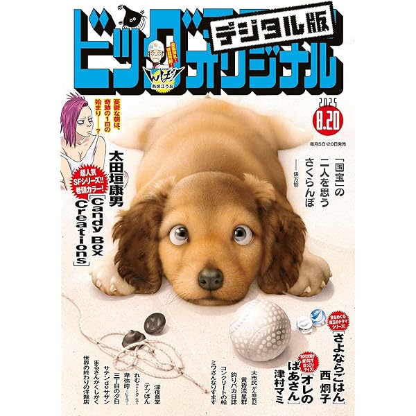 ビッグコミックオリジナル 2024年24号（2024年12月5日発売